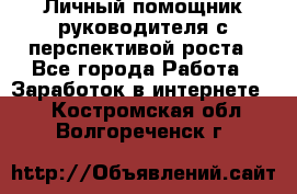 Личный помощник руководителя с перспективой роста - Все города Работа » Заработок в интернете   . Костромская обл.,Волгореченск г.